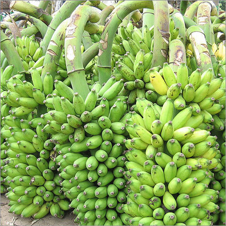 Green Banana