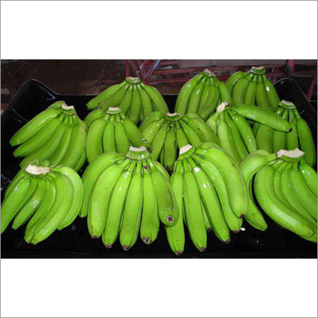 Cavendish Banana