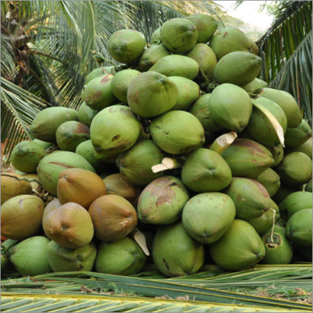 Fresh Coconut