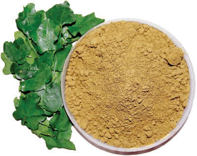 Thuthuvalai Powder - Dried Leaves, Brown, Fine Particle Size | Pure, Natural, Herbal, Effective, Healthy, Safe
