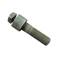 Anti Theft Bolt - Silver, 100mm Length, 3-19mm Size | High Performance, Flexible, Quality Checked