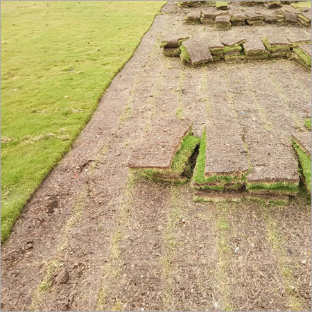 Synthetic Green Grass Mat