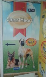 One Way Vision Printing