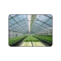 Plastic Greenhouse Film