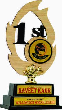 Plastic Trophy