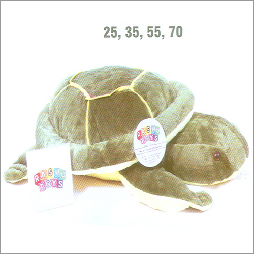 Turtle Toy
