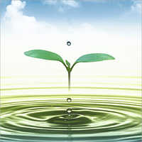Ground Level Water Recorder (piezometer)