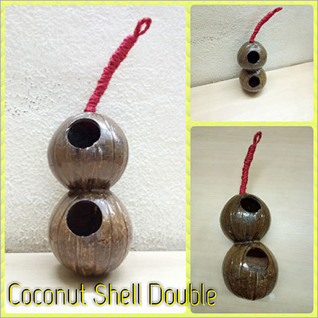 Coconut Shell Double