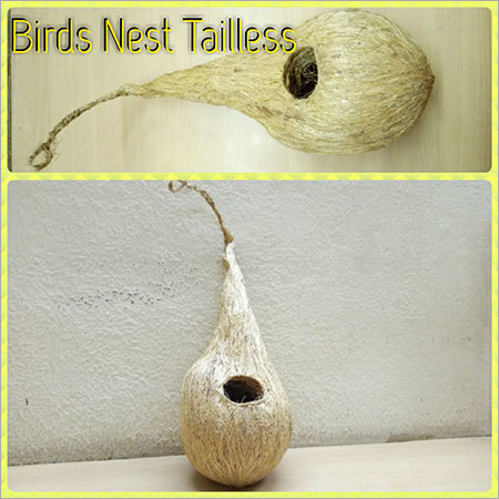 Coconut Coir Nest