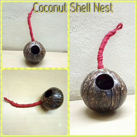 Coconut Shell Nest