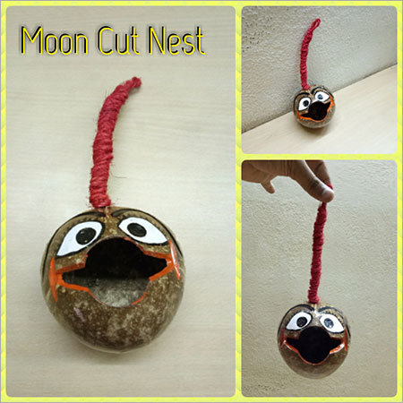 Moon Cut Nest