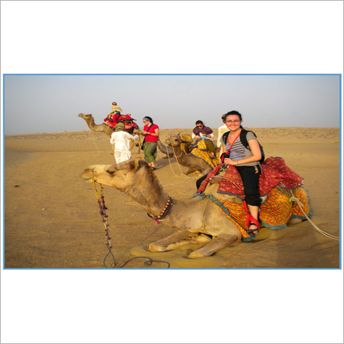 Bikaner Temple with Jaisalmer Tour Service By TAILOR MADE YATRA