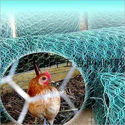 Hexagonal Wire Mesh