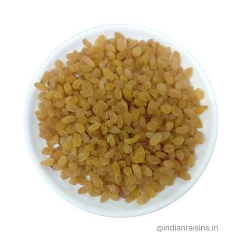Yellow Sangli Type IV Grade A Standard Round Raisins (RYS001)