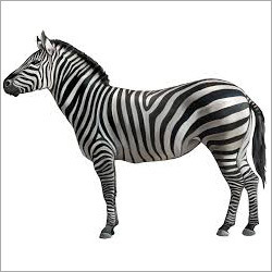 Zebra Sculpture