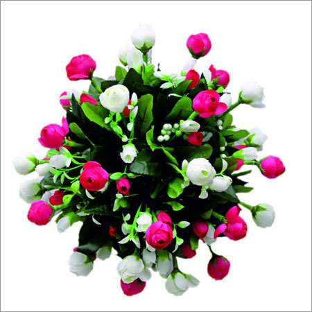Pink and Pink Rose