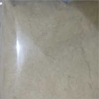 Oyster Mushroom Powder - Moisture Proof Packaging | Enriched With Vitamin B And D, Gluten Free, Promotes Heart Health