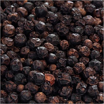 Black Pepper Black Pepper