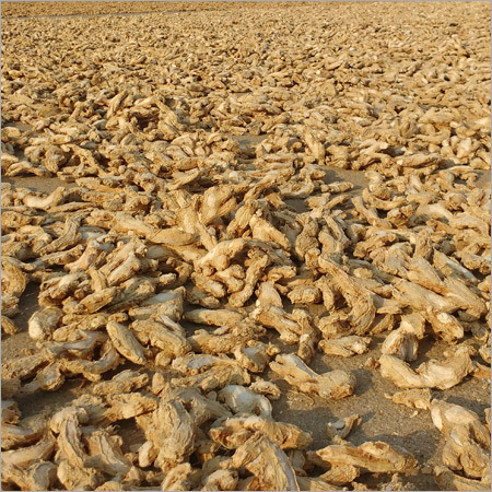 Dry Ginger