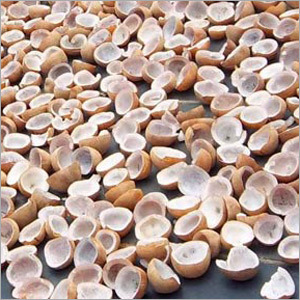 Coconut Copra