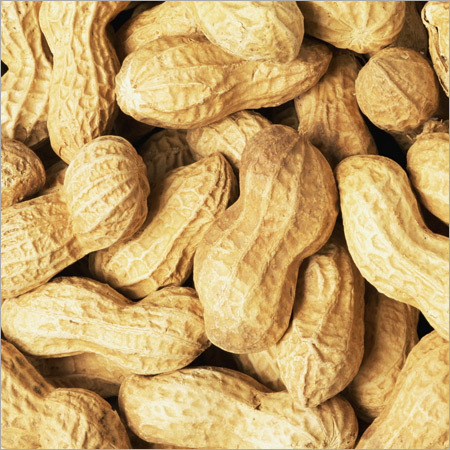 Groundnut Kernels