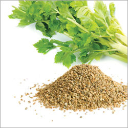 Celery Seeds