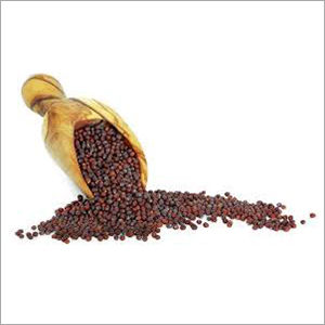 Mustard Seeds