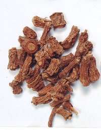 Anantmool Hemidesmus Indicus