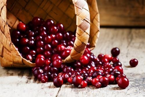 Craneberry Extract