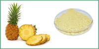 Fruit Extracts Powder