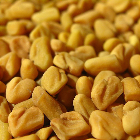 Methi seed