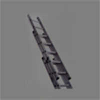 Wall Supporting Extension Ladder