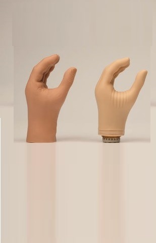 Artificial Hands