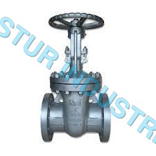 FLANGE END STAINLESS STEEL GATE VALVE