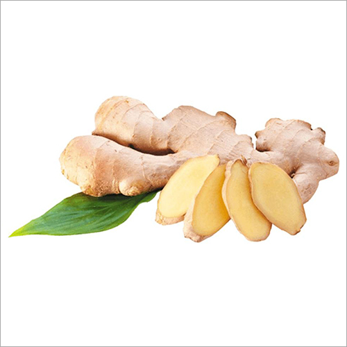 Ginger