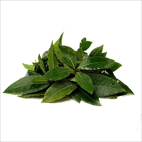 Bayleaf