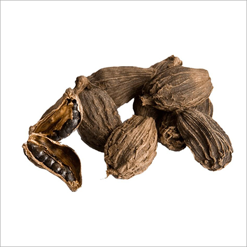 Large Cardamom