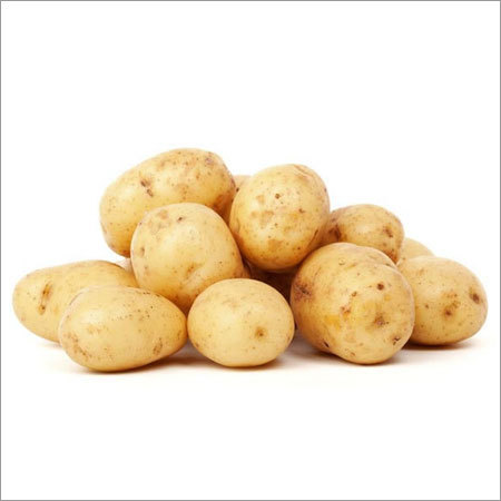 Potato
