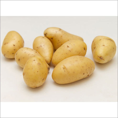 Fresh Potato