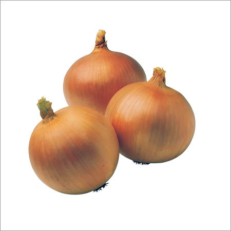 Fresh Onions