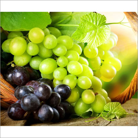 Fresh Grapes