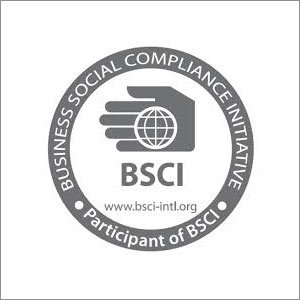 BSCI Audit