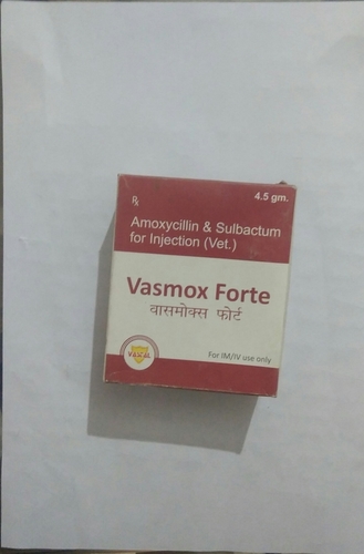 Amoxicillin Injection