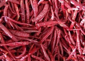 Dry Red Chilli Teja (With / Without Stem)