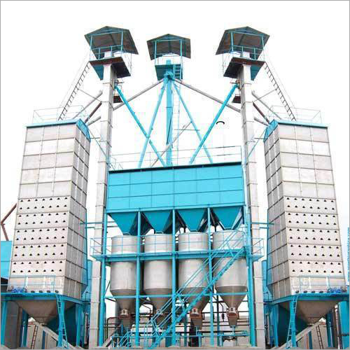 Par Boiled Rice Plant