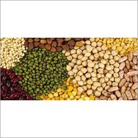 Organic Pulses