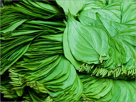 Betel Leaves