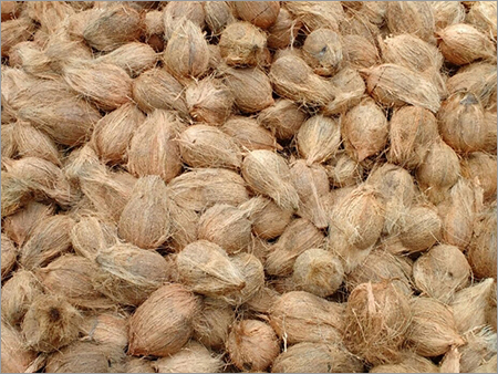 Semi Husked Coconut