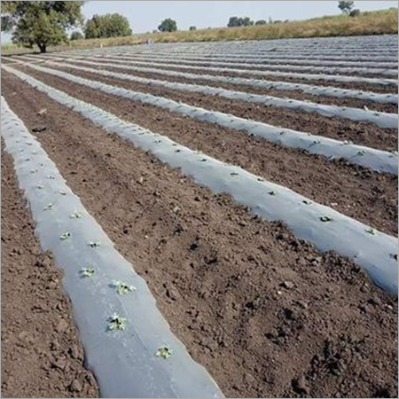 Mulching film