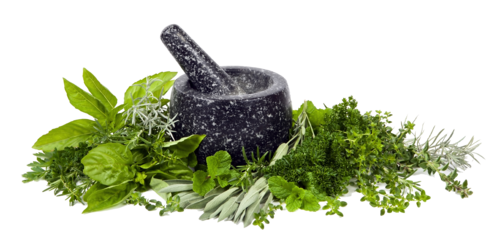 DIABETES CARE SYRUP DIABETES CARE SYRUP